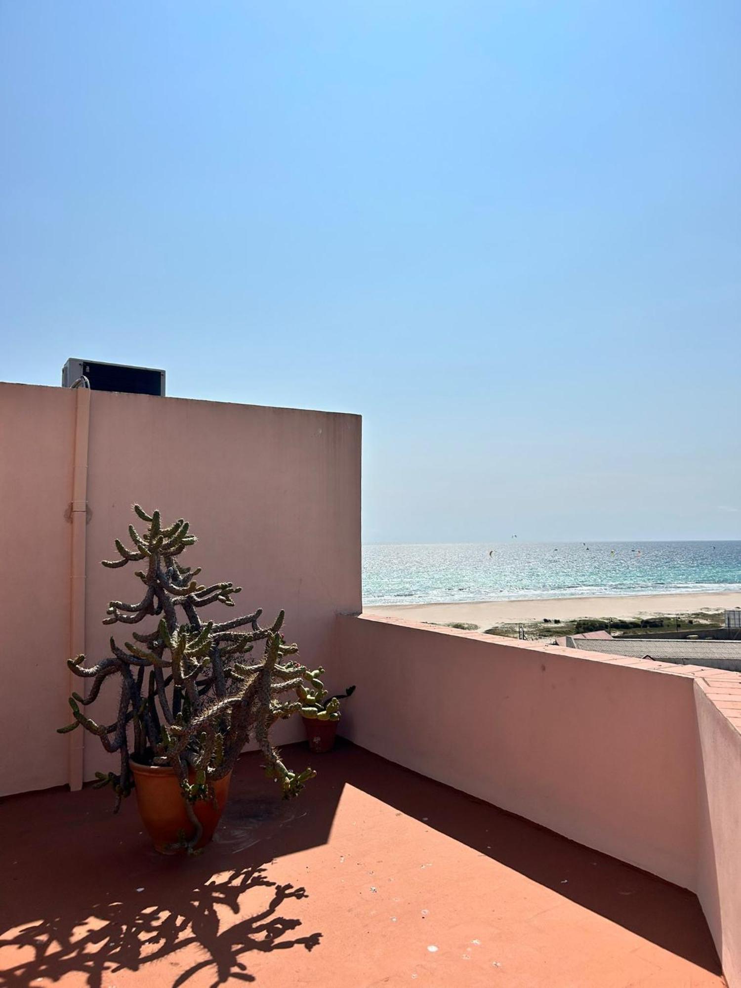 Livingtarifa Nomada